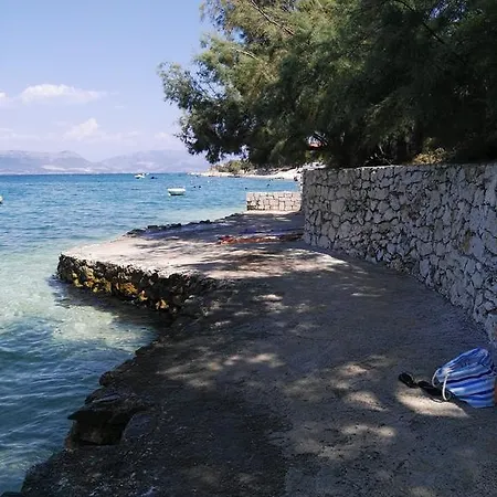 Matej Trogir